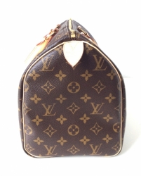 Louis Vuitton Monogram Speedy 30